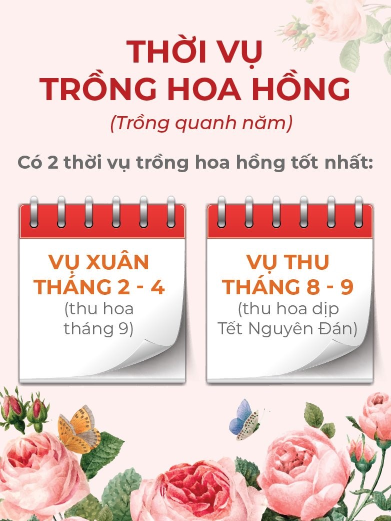 thời vụ trồng_1703756037.jpg